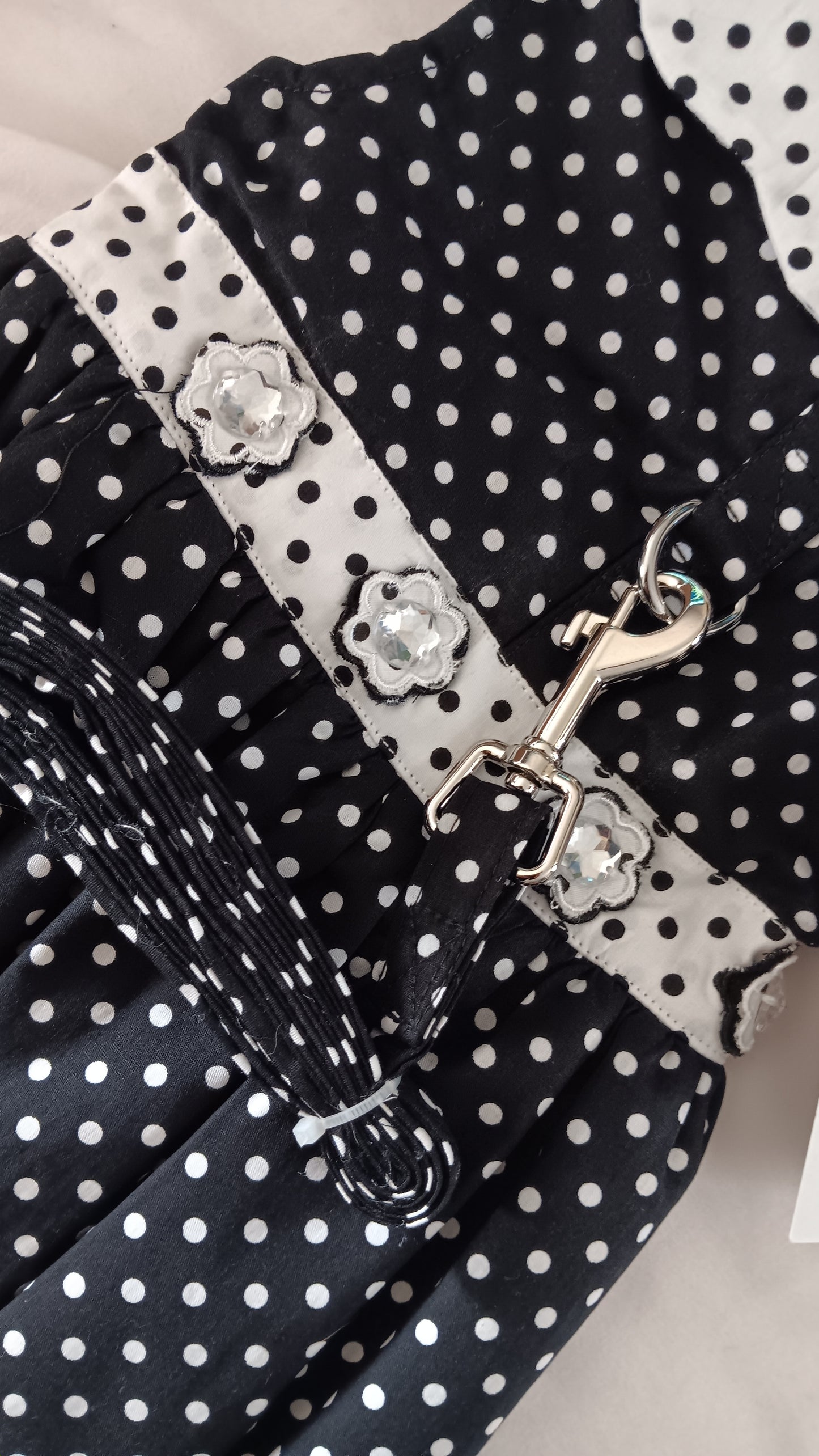 Dress Fancy Polka Dot with matching leash