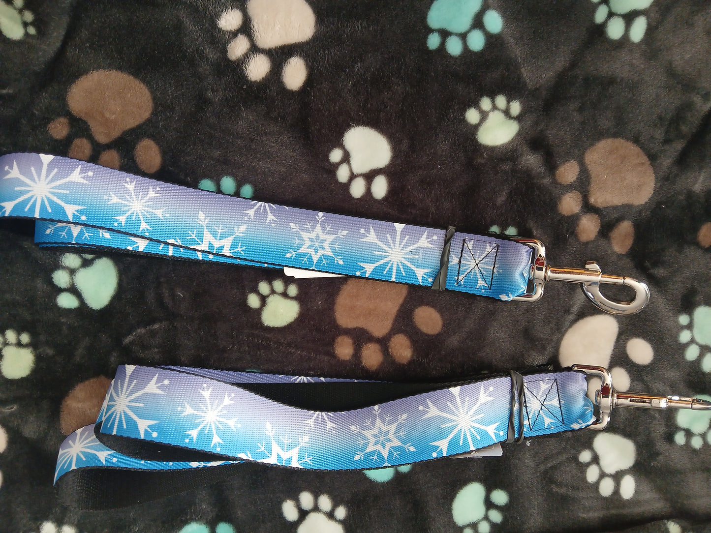 Leash 6ft Frozen