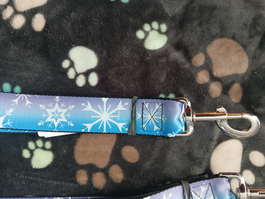 Leash 6ft Frozen