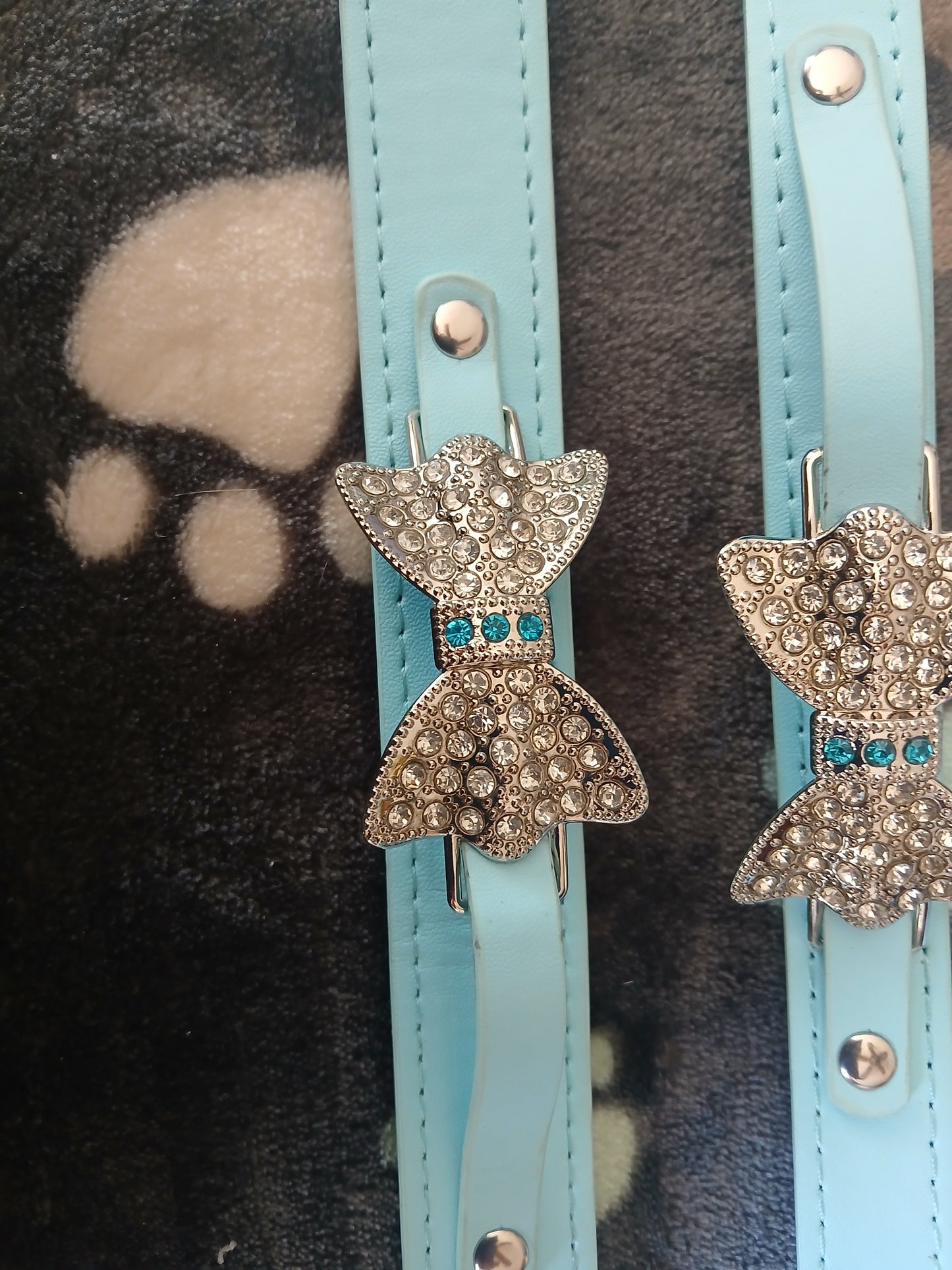 Collar Leather Blue