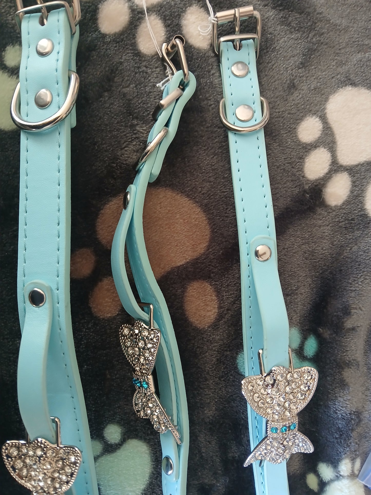 Collar Leather Blue