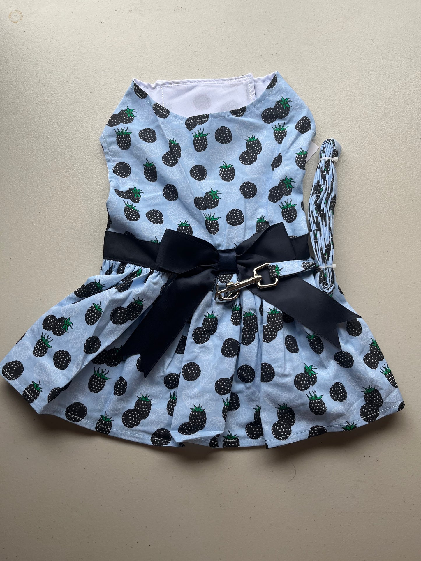 Dress Blackberry Dog with Matching Leash