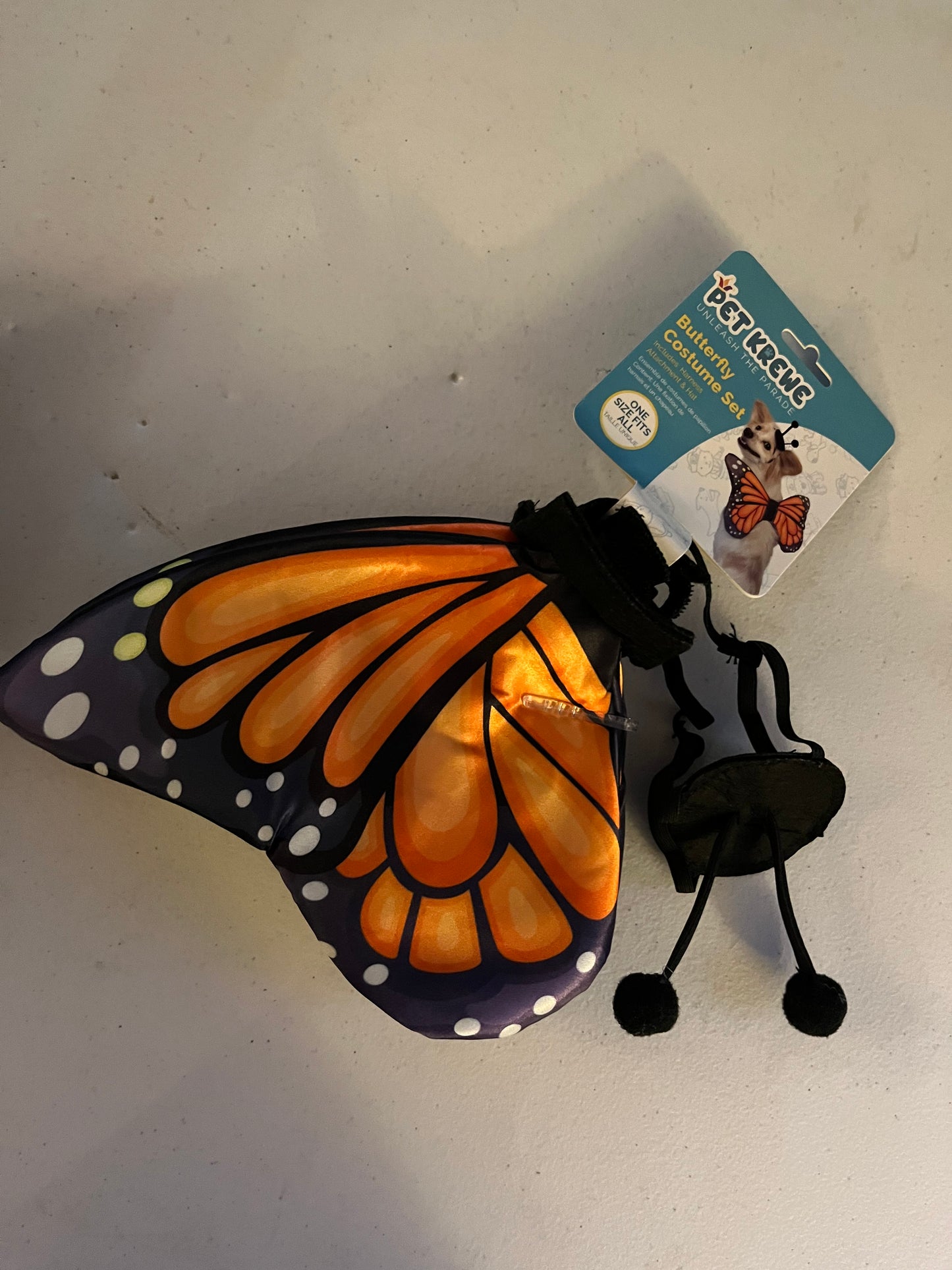 Halloween "Butterfly" Costume