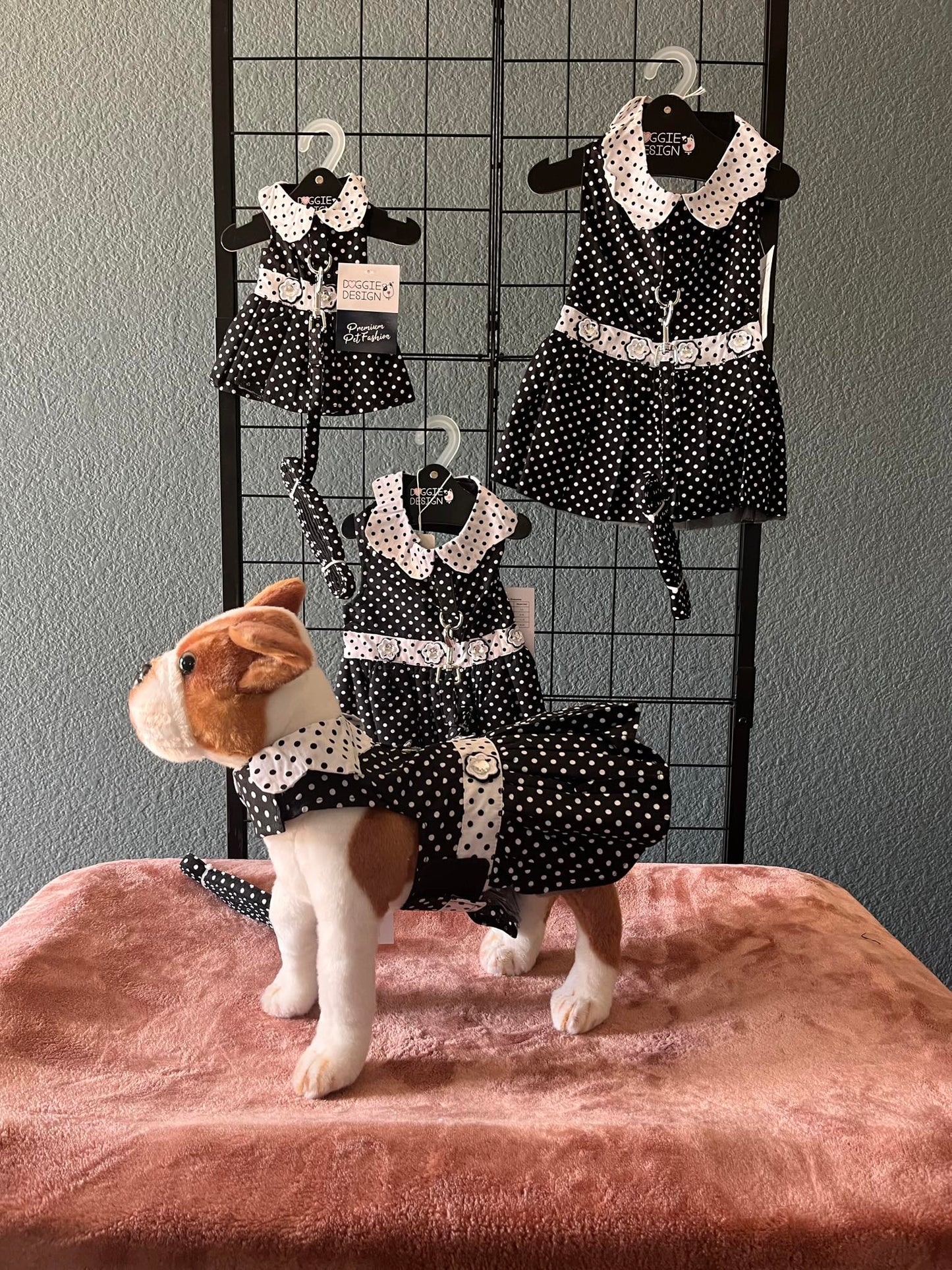 Dress Fancy Polka Dot with matching leash