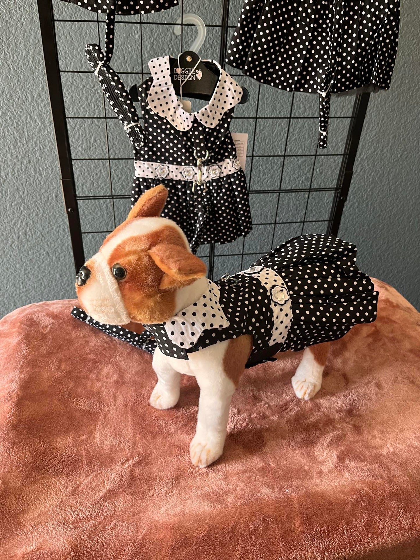 Dress Fancy Polka Dot with matching leash