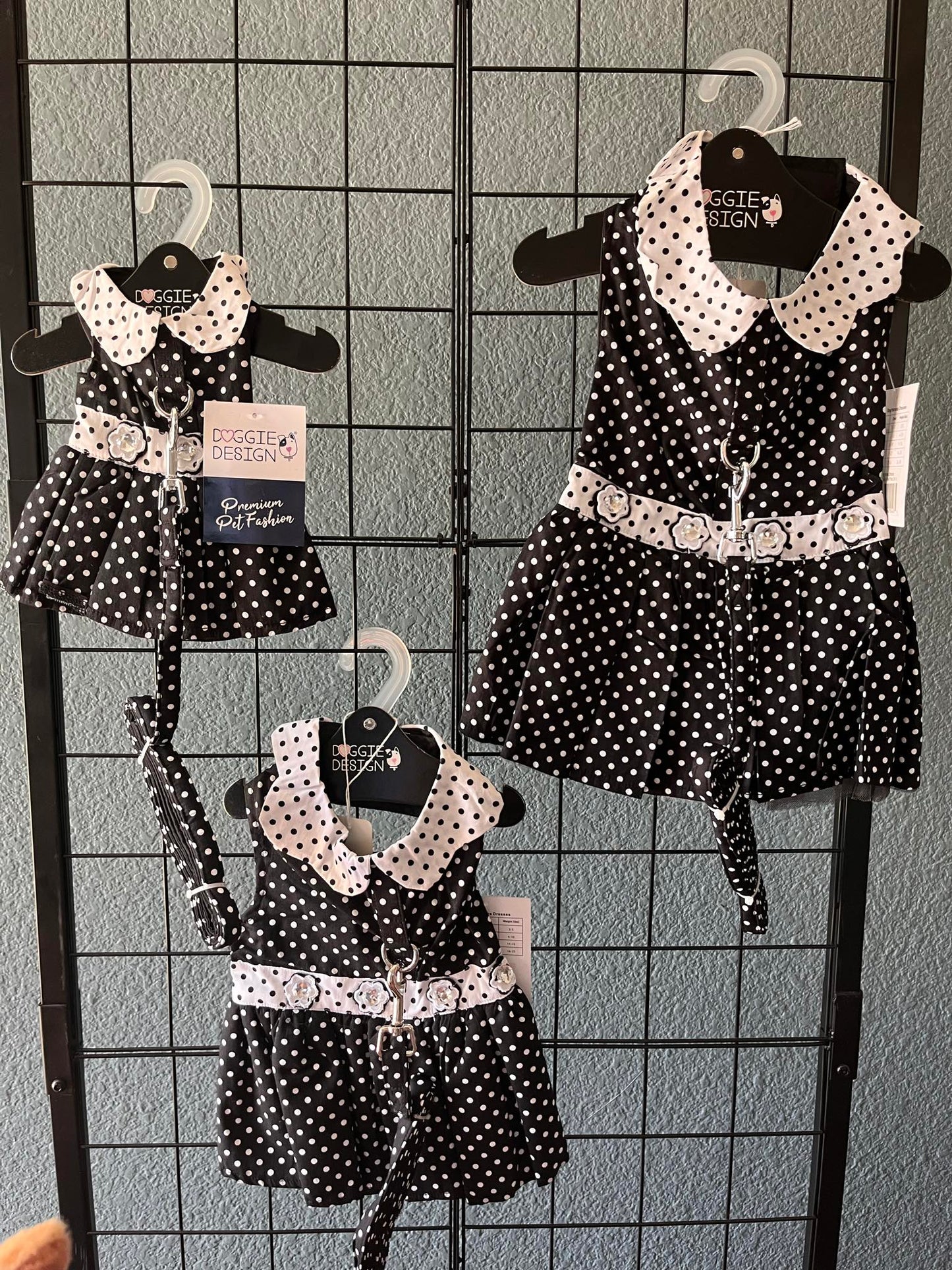 Dress Fancy Polka Dot with matching leash